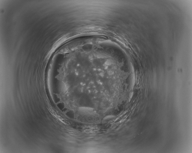 X0000085070099200703051418