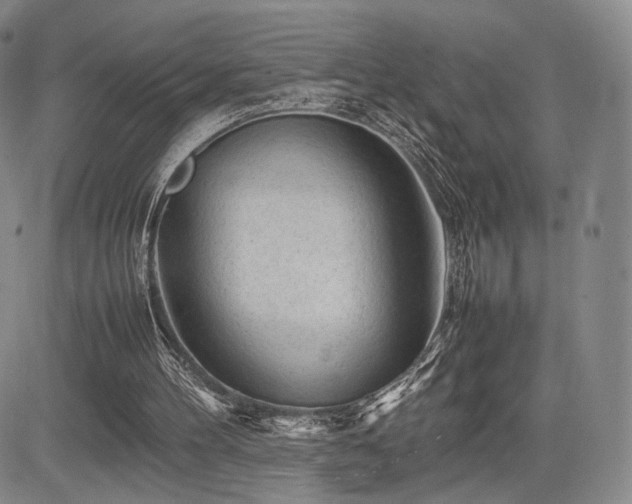 X0000085070100200703051418