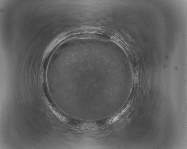 X0000085070101200703051418