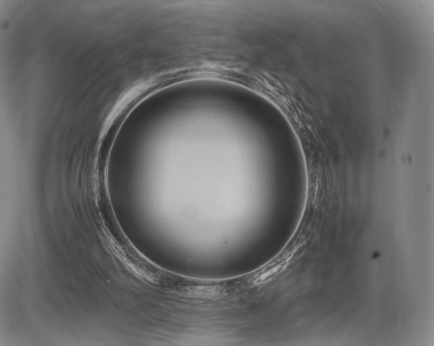 X0000085070102200703051418