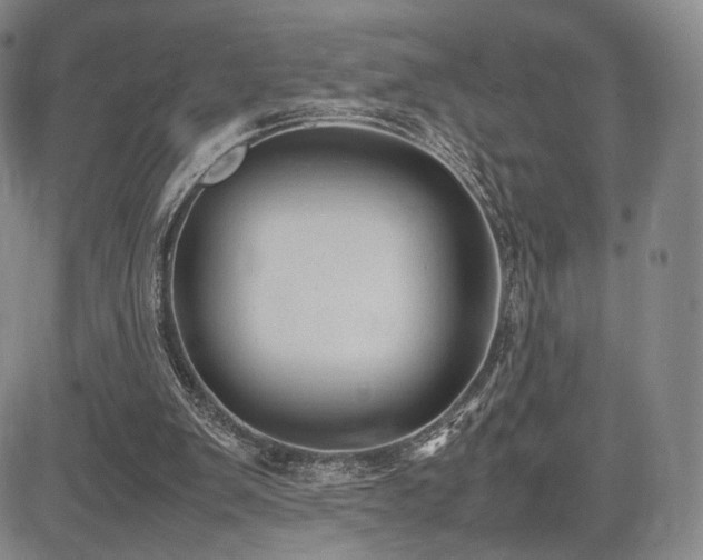 X0000085070103200703051418