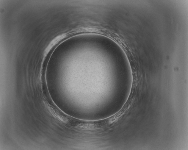 X0000085070104200703051418