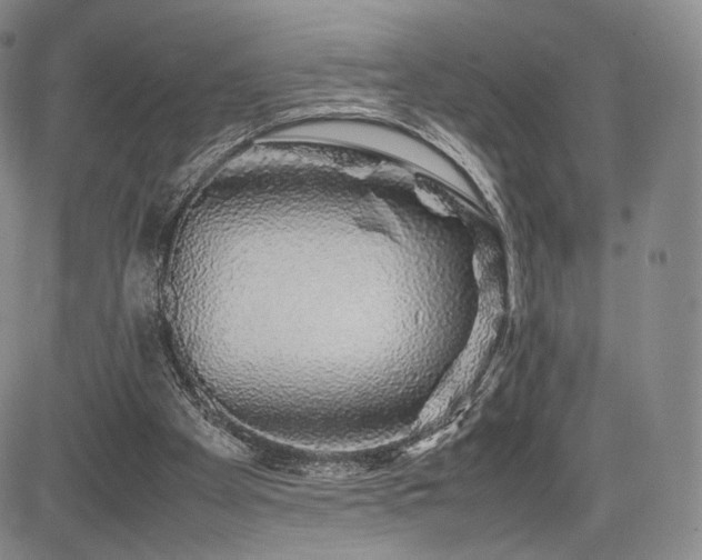 X0000085070105200703051418