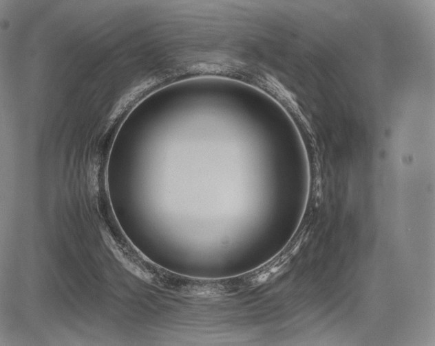 X0000085070106200703051418