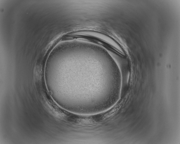 X0000085070107200703051418