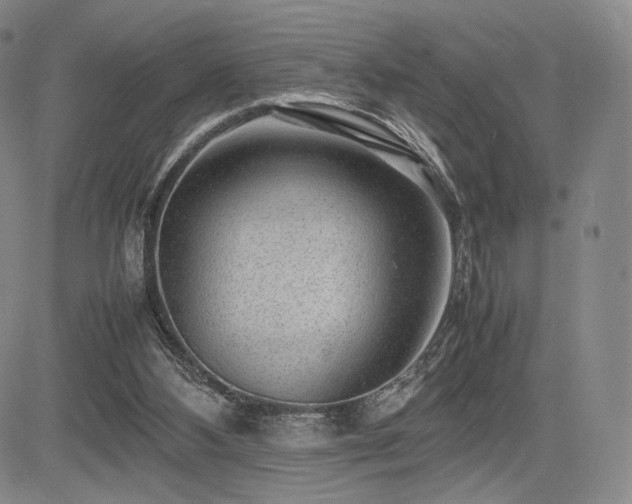 X0000085070108200703051418