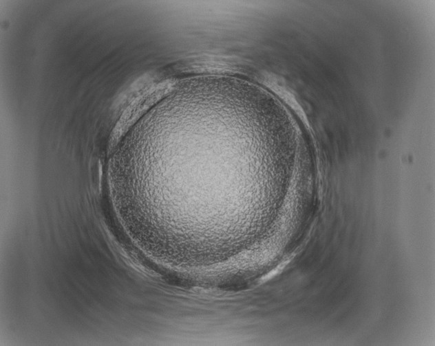 X0000085070109200703051418