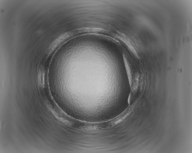 X0000085070110200703051418