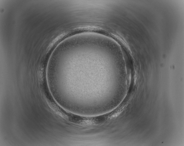 X0000085070111200703051418