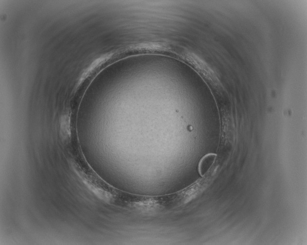 X0000085070112200703051418