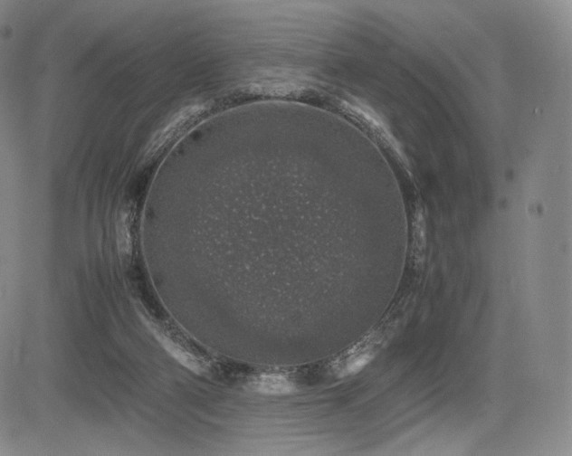 X0000085070114200703051418