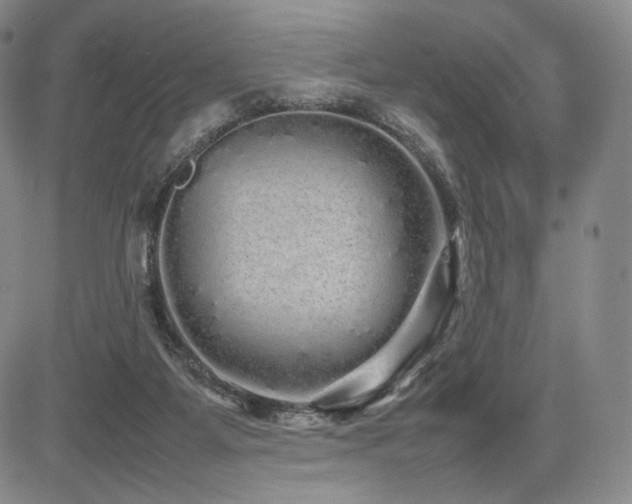 X0000085070115200703051418