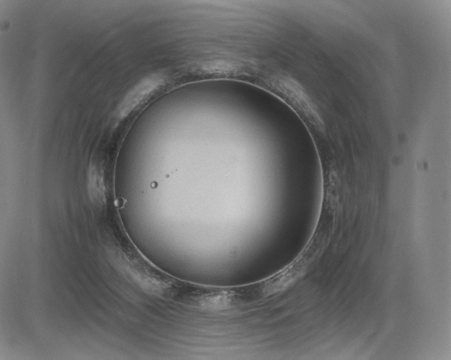 X0000085070116200703051418