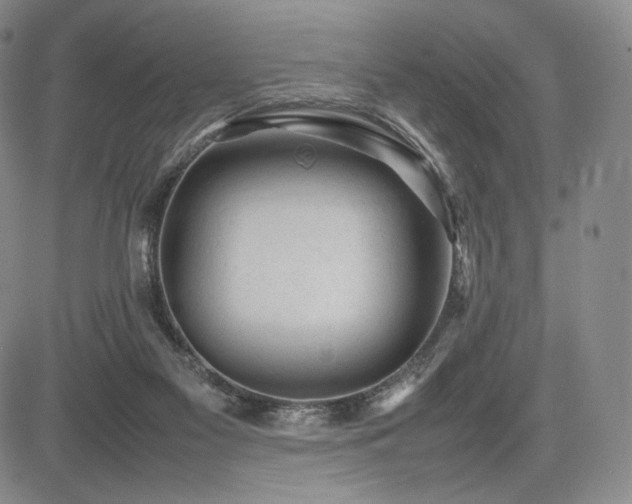 X0000085070117200703051418