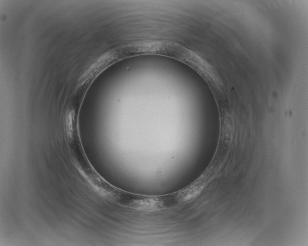 X0000085070118200703051417