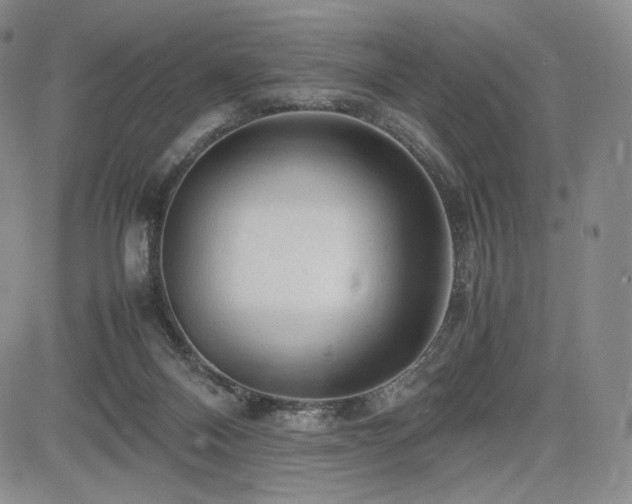 X0000085070120200703051417