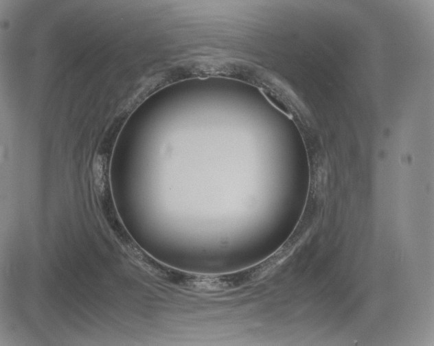 X0000085070121200703051417