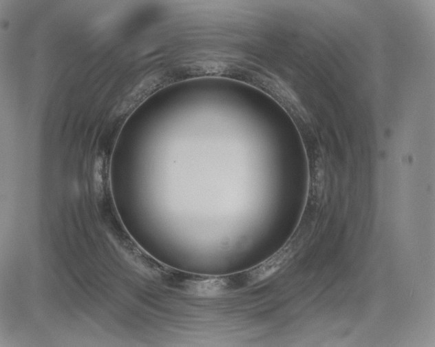 X0000085070122200703051417