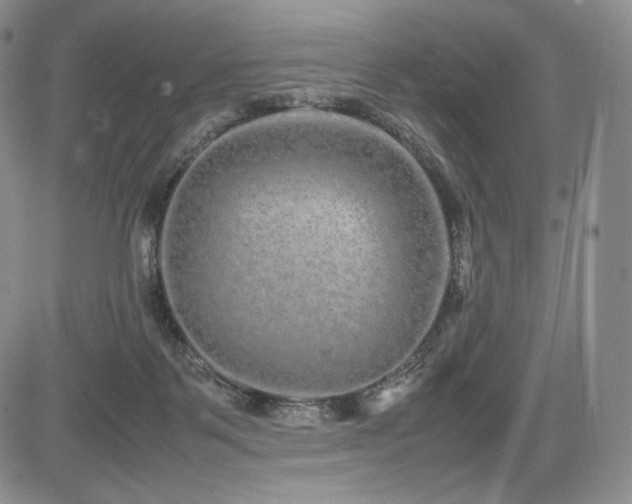 X0000085070123200703051417