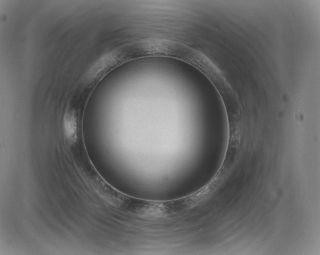 X0000085070124200703051417