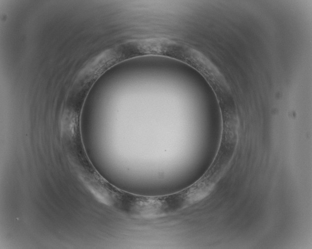 X0000085070125200703051417