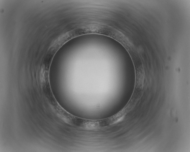 X0000085070126200703051417