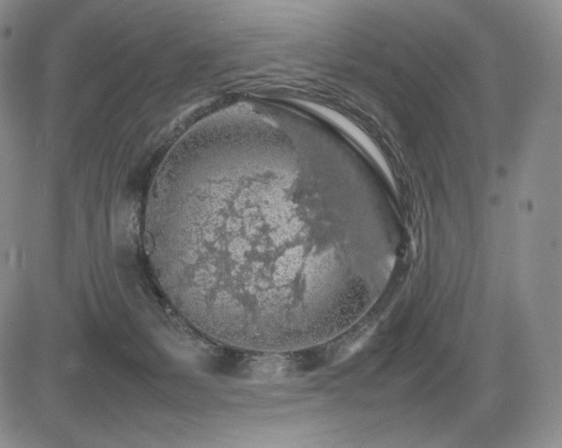 X0000085070127200703051417