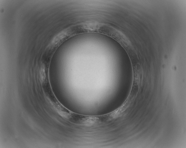 X0000085070128200703051417