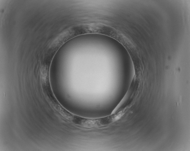 X0000085070129200703051417