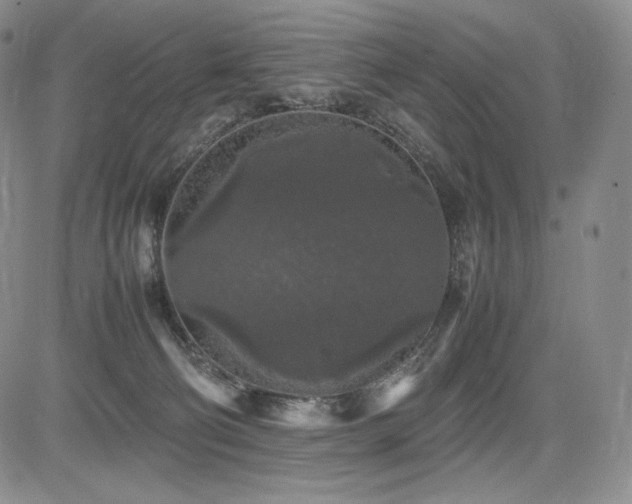 X0000085070130200703051417