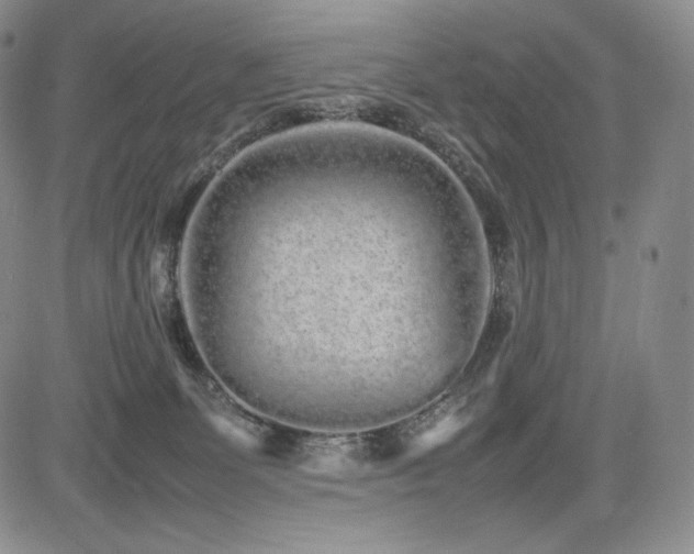 X0000085070131200703051417