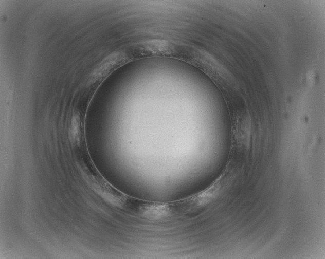 X0000085070132200703051417