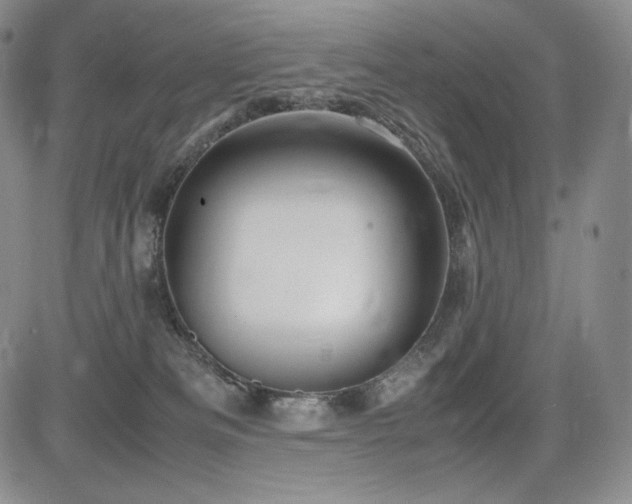 X0000085070133200703051417