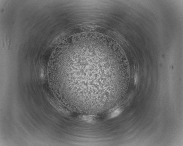 X0000085070134200703051417