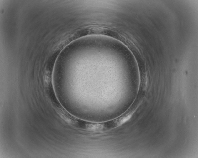 X0000085070135200703051417