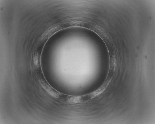 X0000085070138200703051417