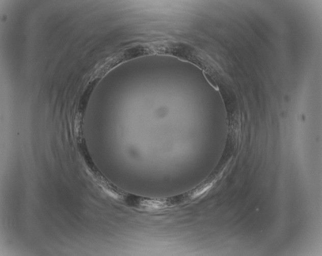 X0000085070139200703051417