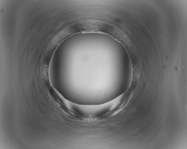 X0000085070141200703051417