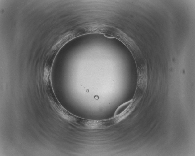 X0000085070142200703051417