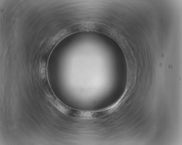 X0000085070144200703051417