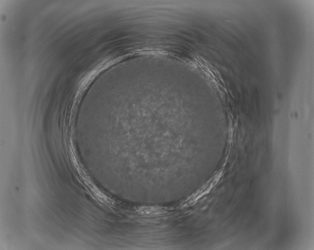 X0000085070145200703051416