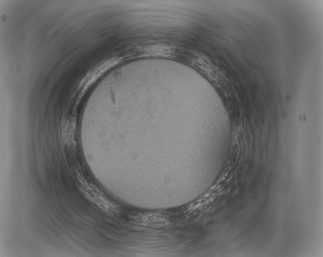 X0000085070146200703051416