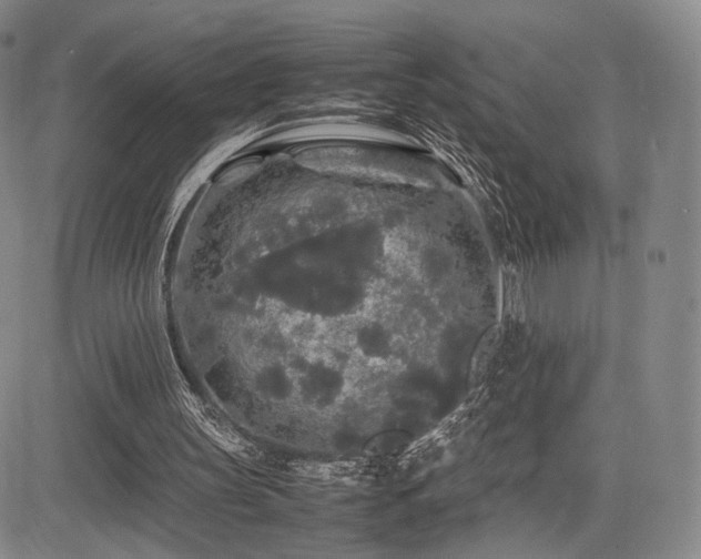 X0000085070147200703051416