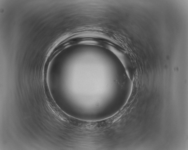 X0000085070148200703051416