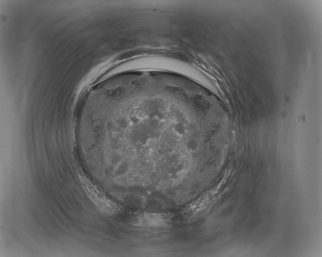 X0000085070149200703051416