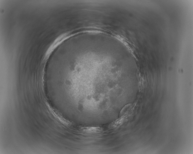 X0000085070151200703051416