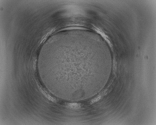 X0000085070153200703051416