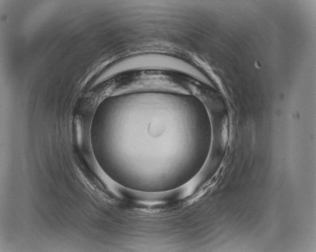 X0000085070154200703051416