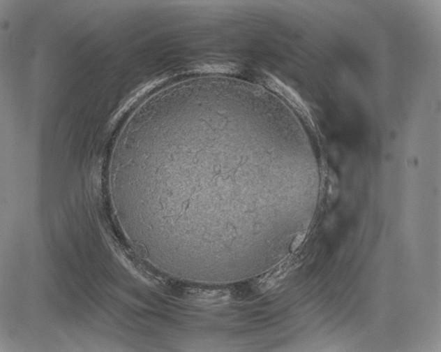 X0000085070155200703051416