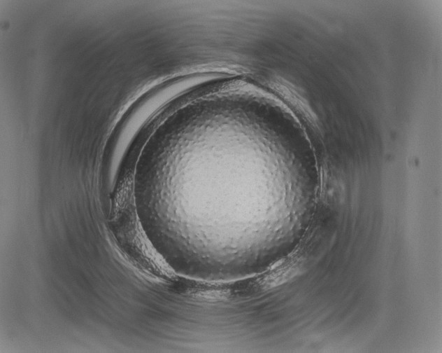 X0000085070156200703051416